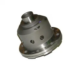 Selbstsperrendes Differential hinten, 22 Zähne, Bolzen, Tuning