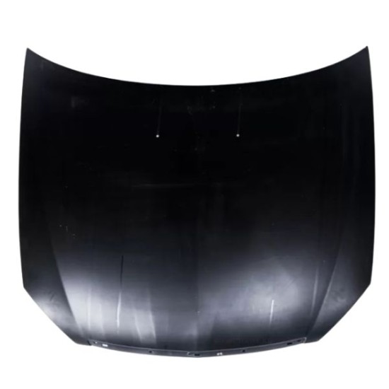 Vordere Motorhaube 21700-8402010-00